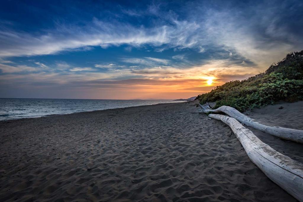 Camping Internazionale Etruria Castiglione della Pescaia Eksteriør billede