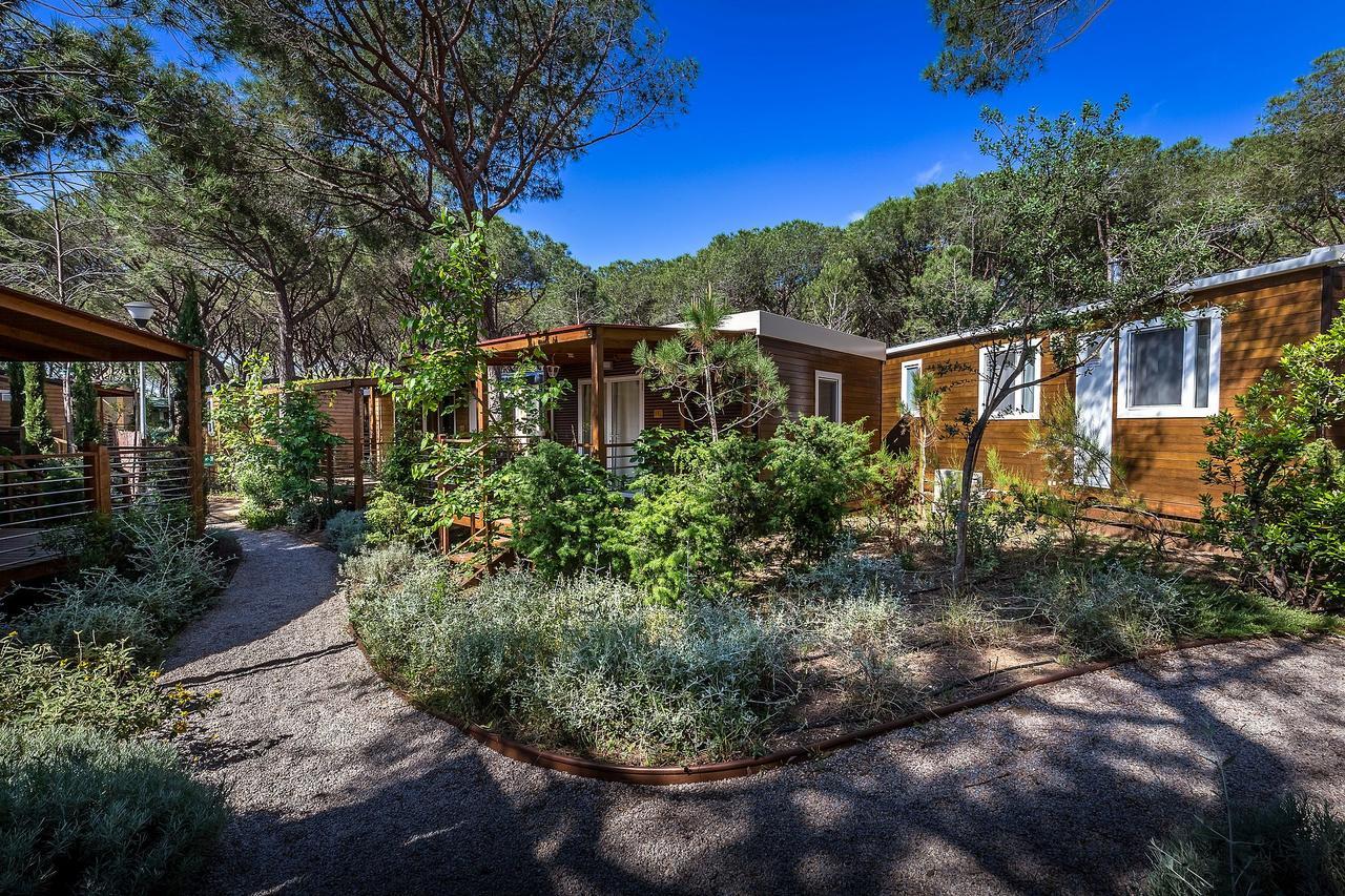 Camping Internazionale Etruria Castiglione della Pescaia Eksteriør billede