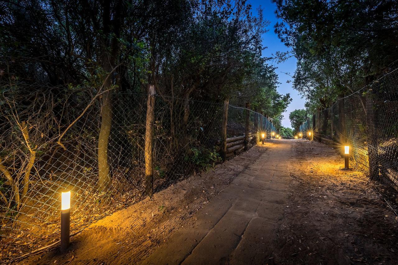 Camping Internazionale Etruria Castiglione della Pescaia Eksteriør billede