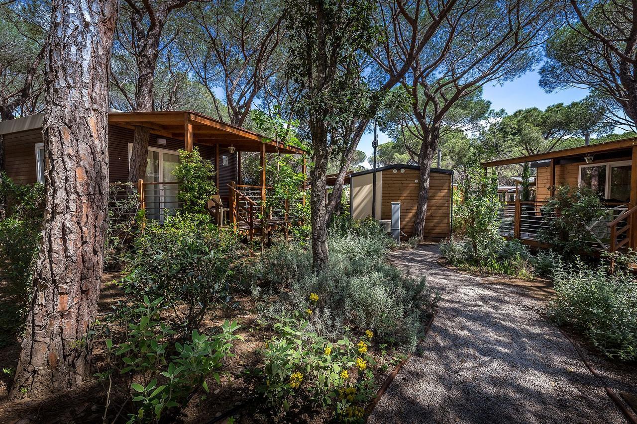 Camping Internazionale Etruria Castiglione della Pescaia Eksteriør billede