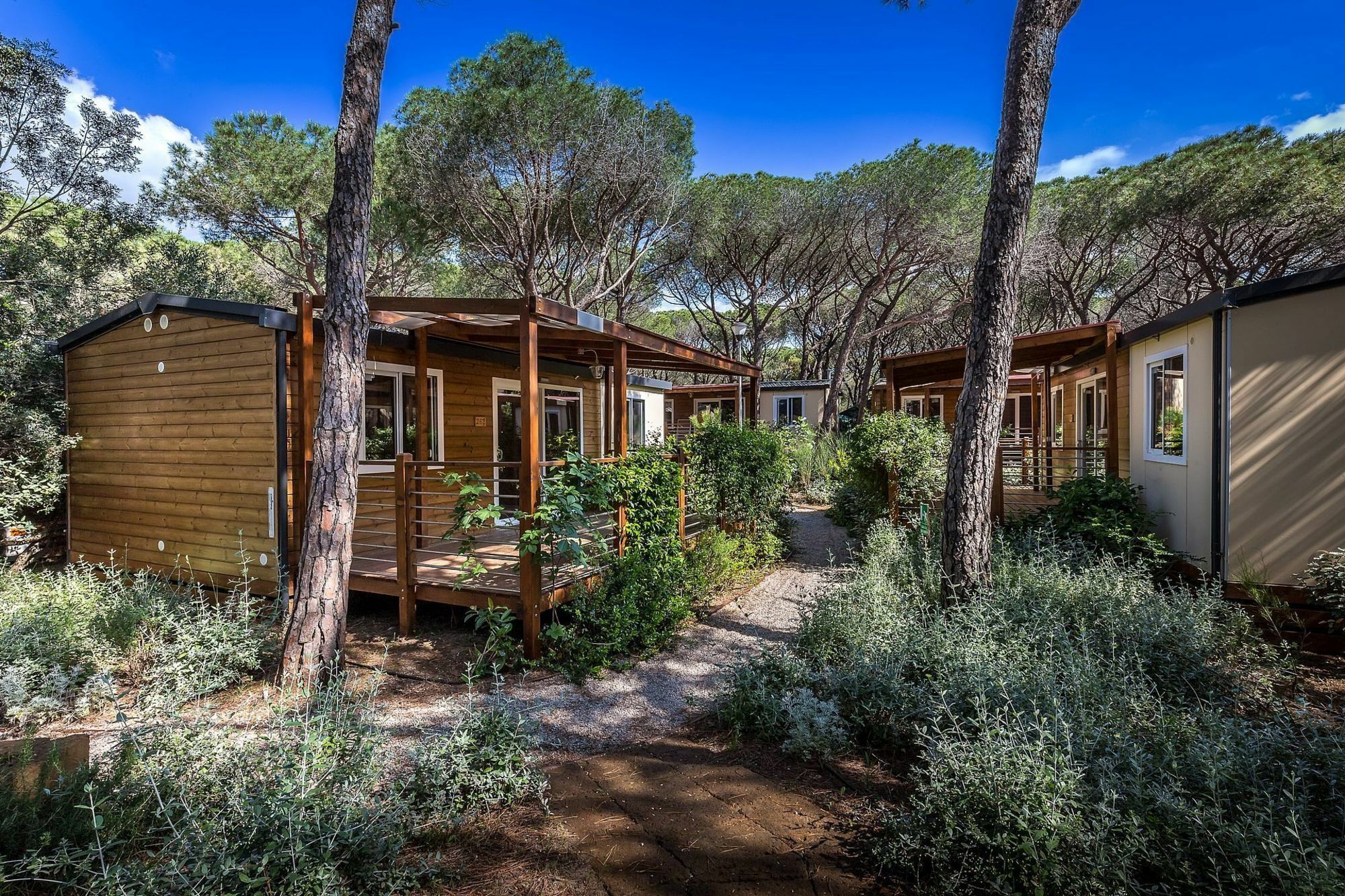 Camping Internazionale Etruria Castiglione della Pescaia Eksteriør billede